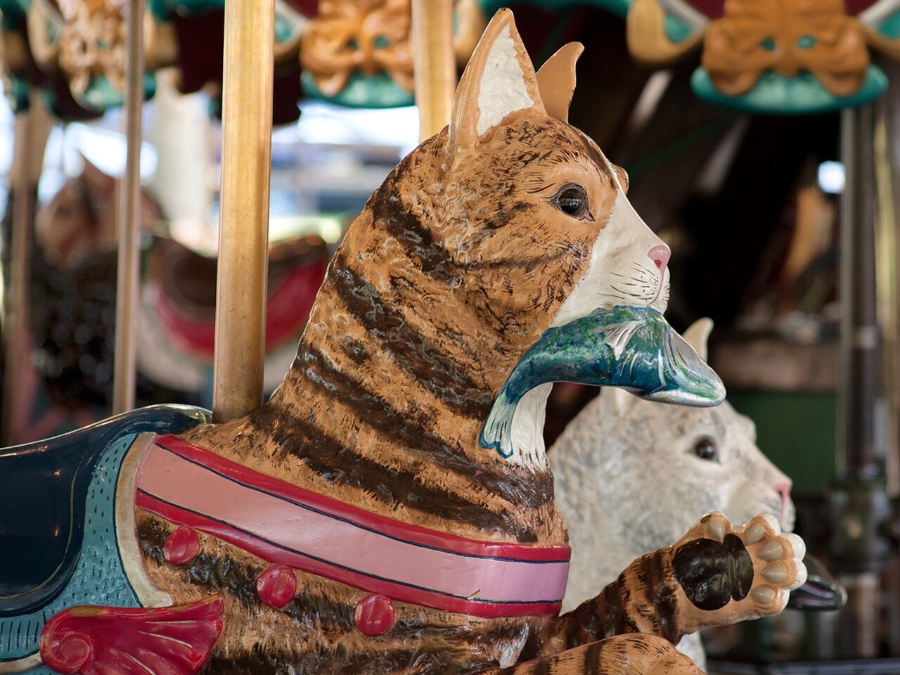 Carousel fotoğrafı
