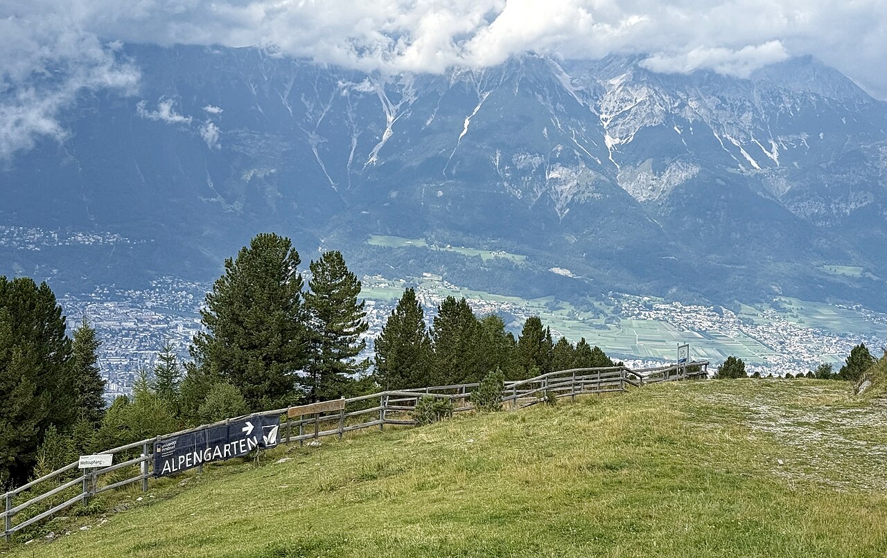 Ein Foto von Alpengarten