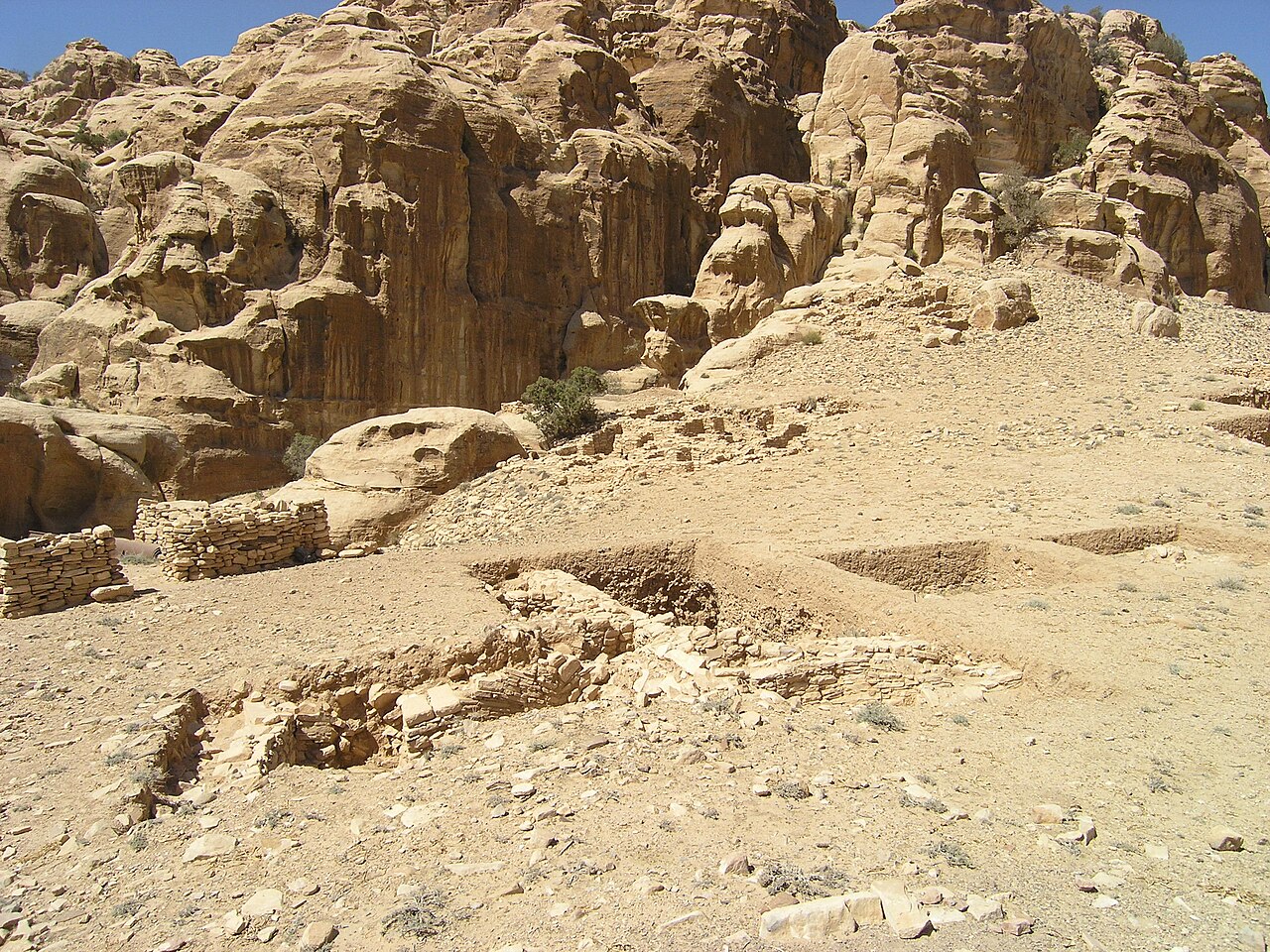 صورة بعجة