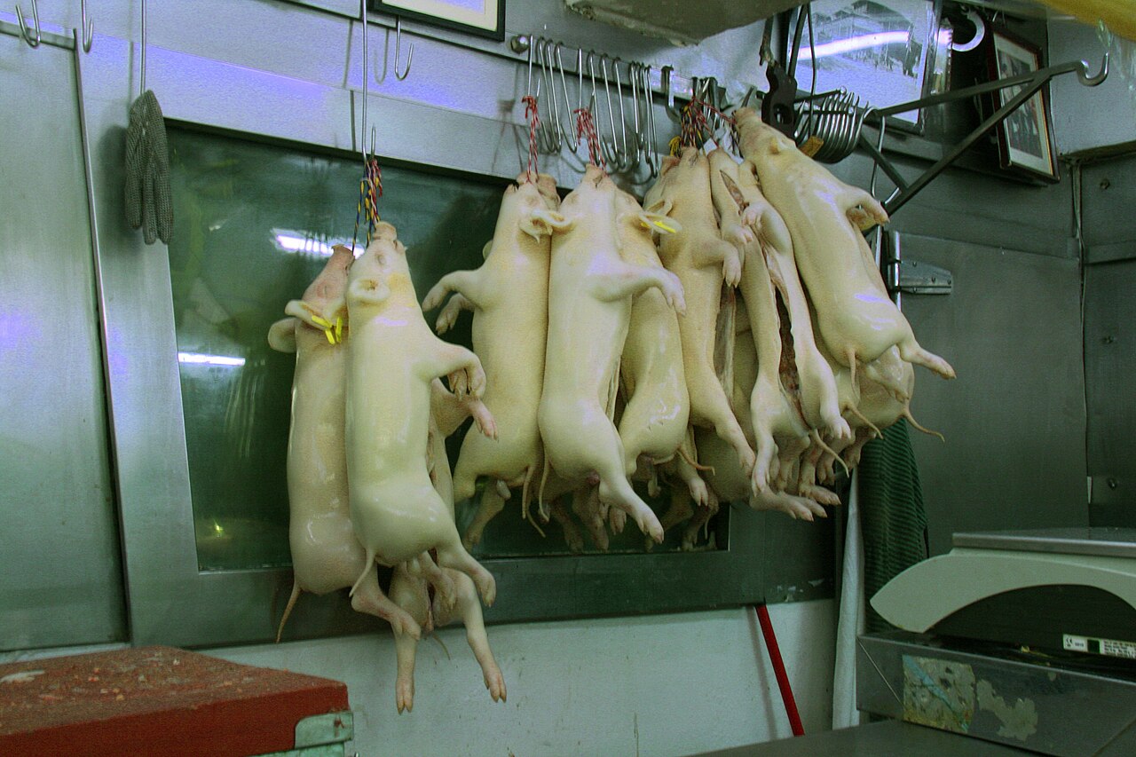 Uma fotografia de Mercado de la Cebada
