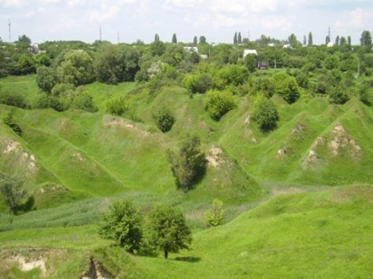 A photograph of Gully Reserve