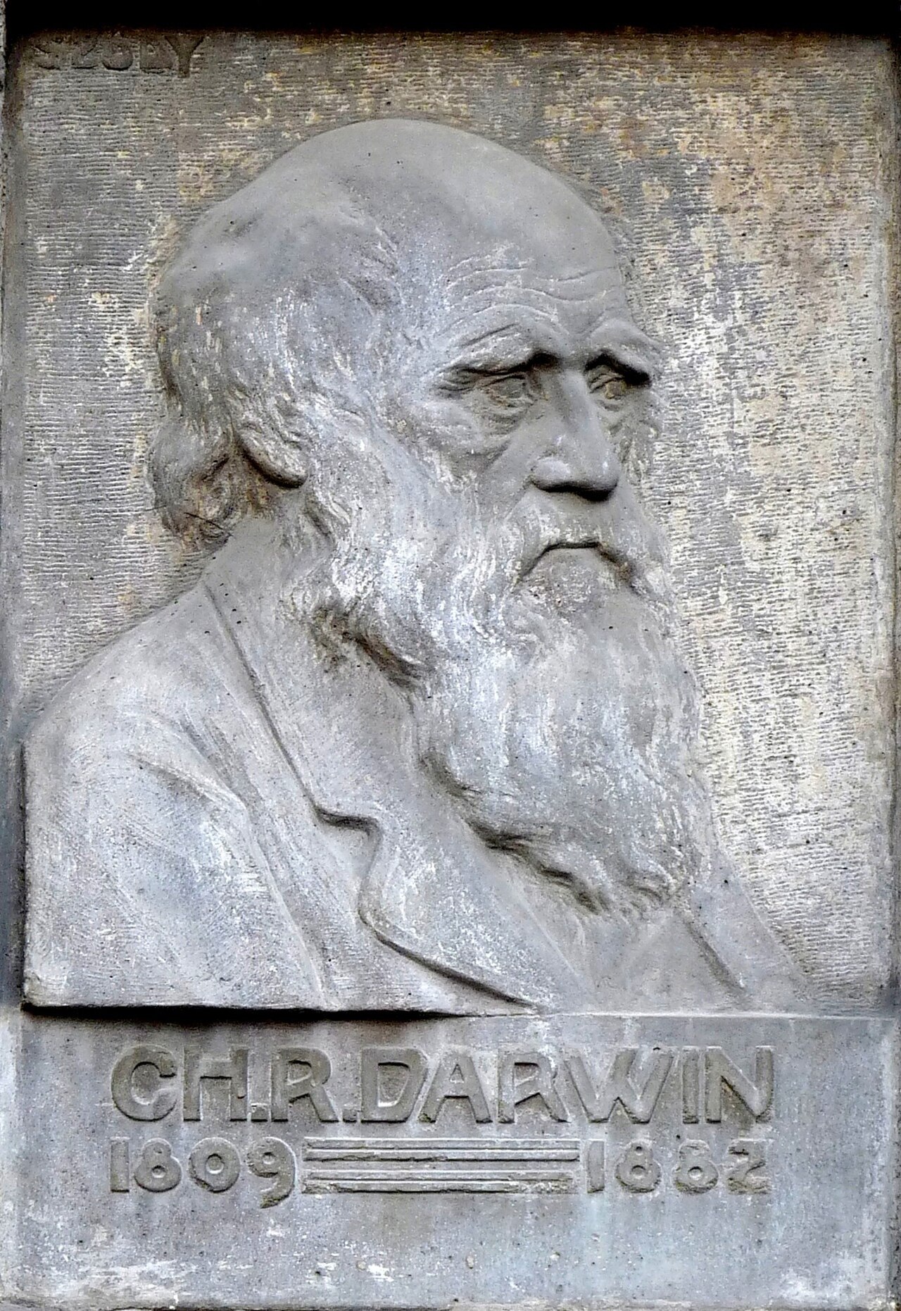 Charles Darwin