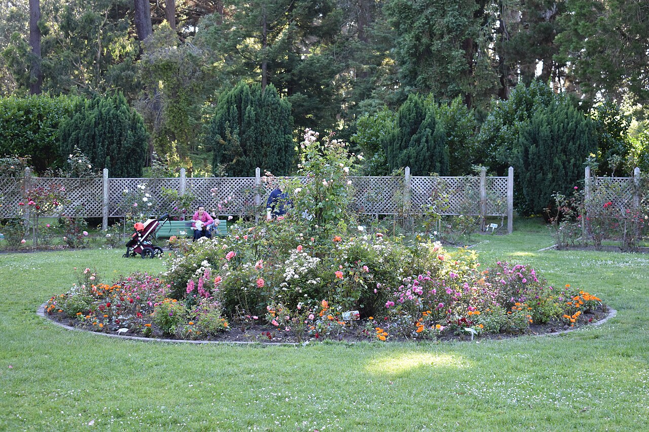 Golden Gate Parkı Gül Bahçesi fotoğrafı