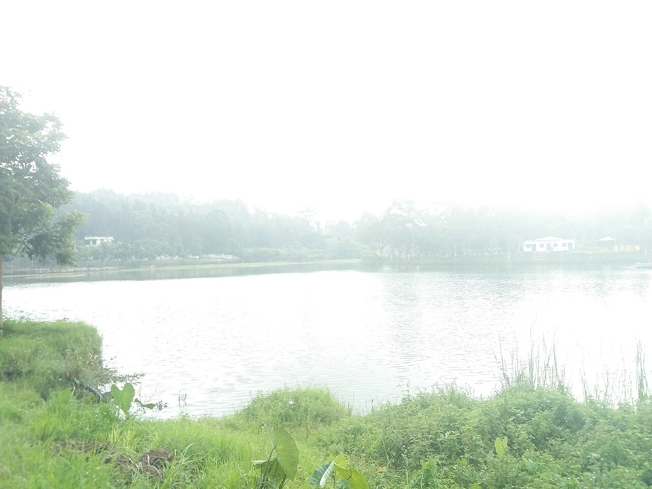 Lake View fotoğrafı