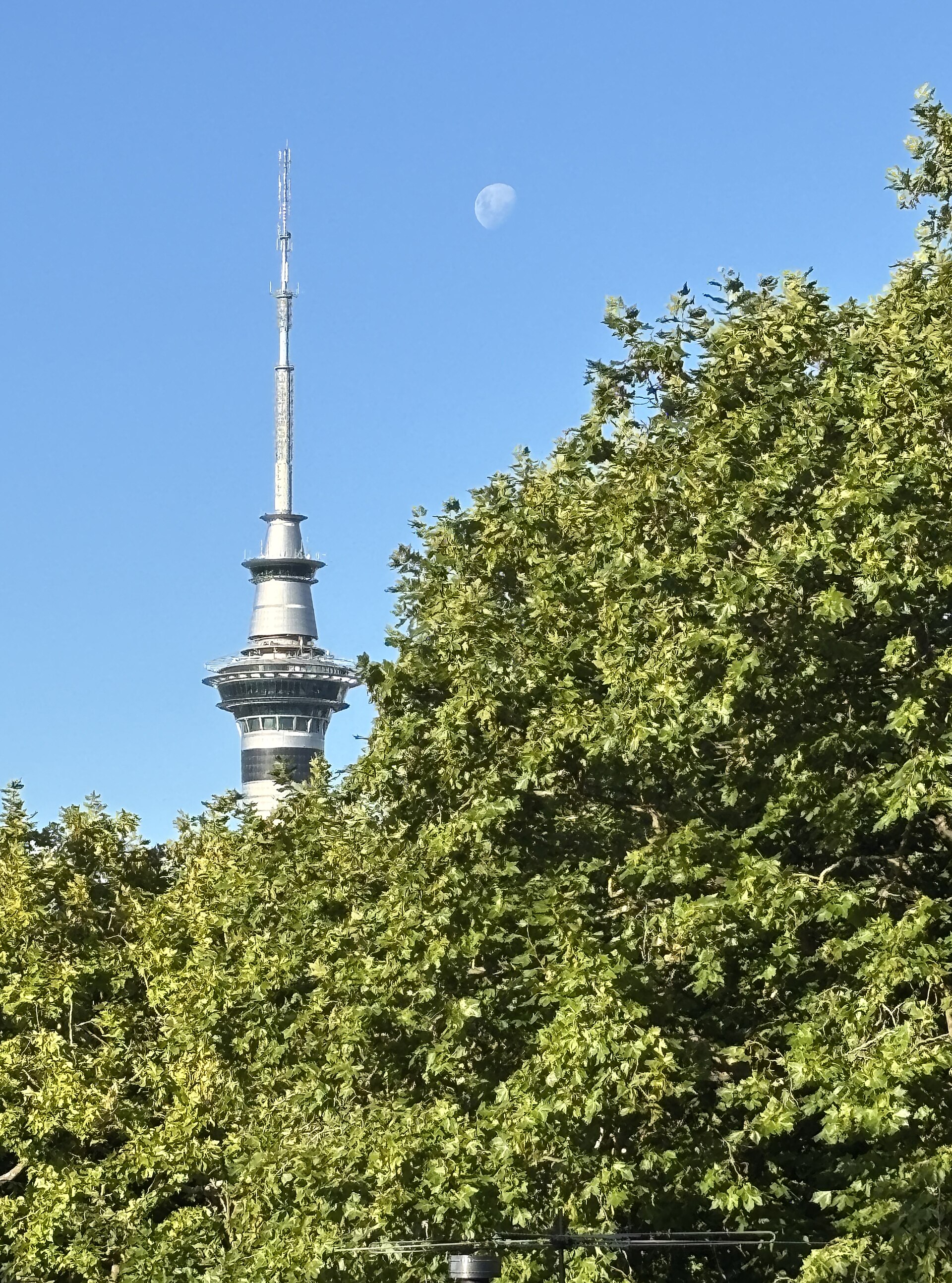 Sky Tower의 사진