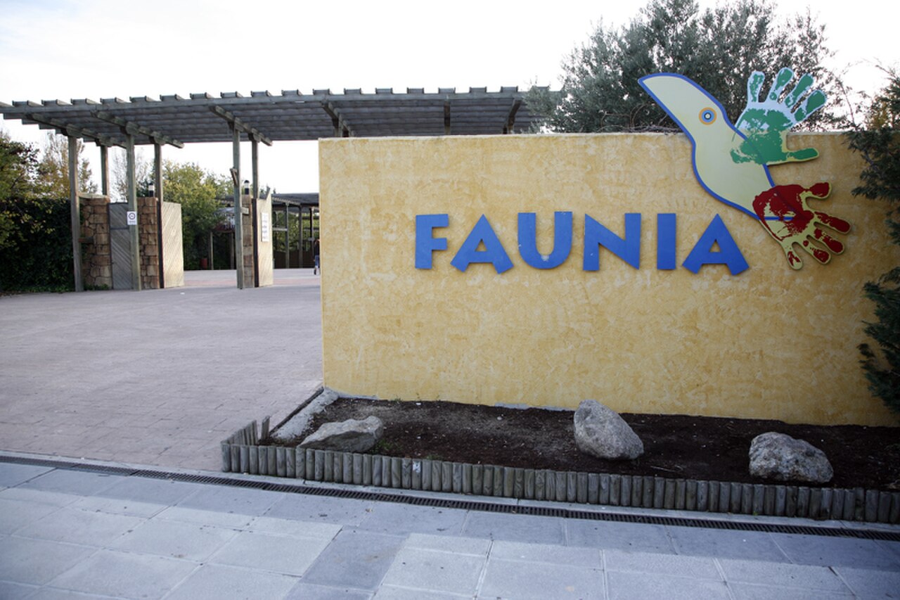 A photograph of Faunia