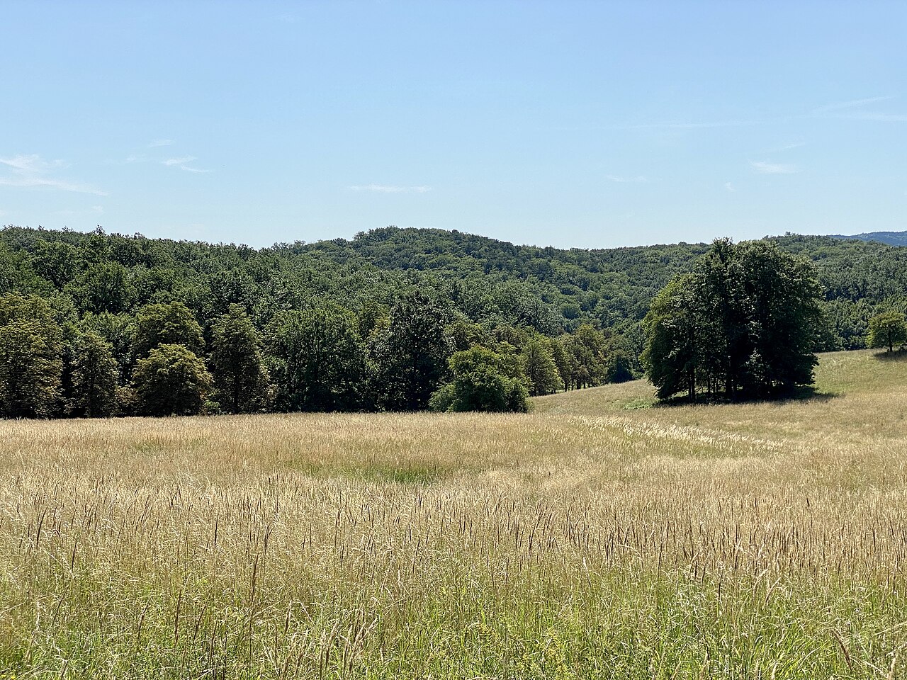 Petit Eichberg