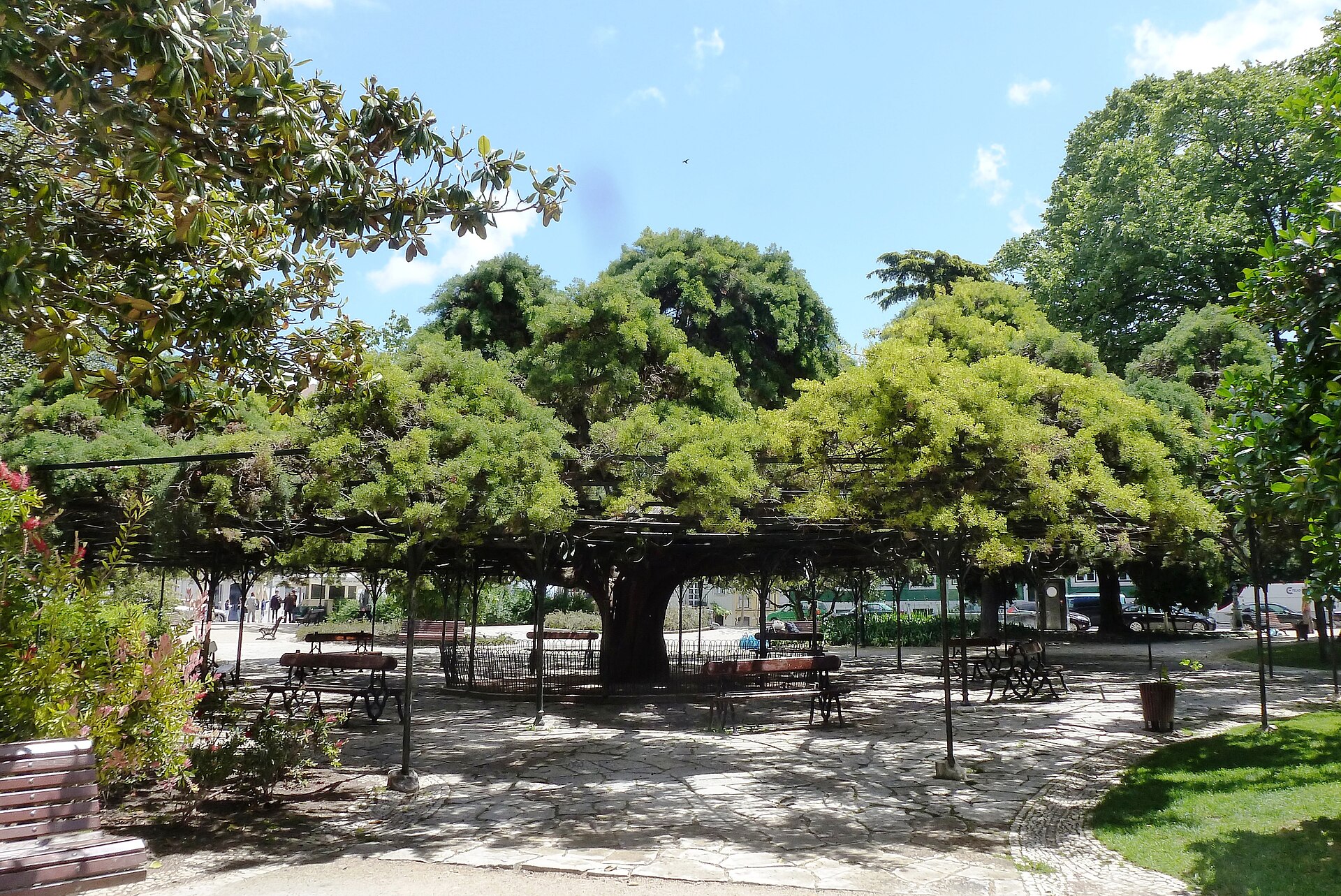 Jardim do Príncipe Real