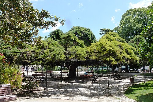 Jardín del Príncipe Real