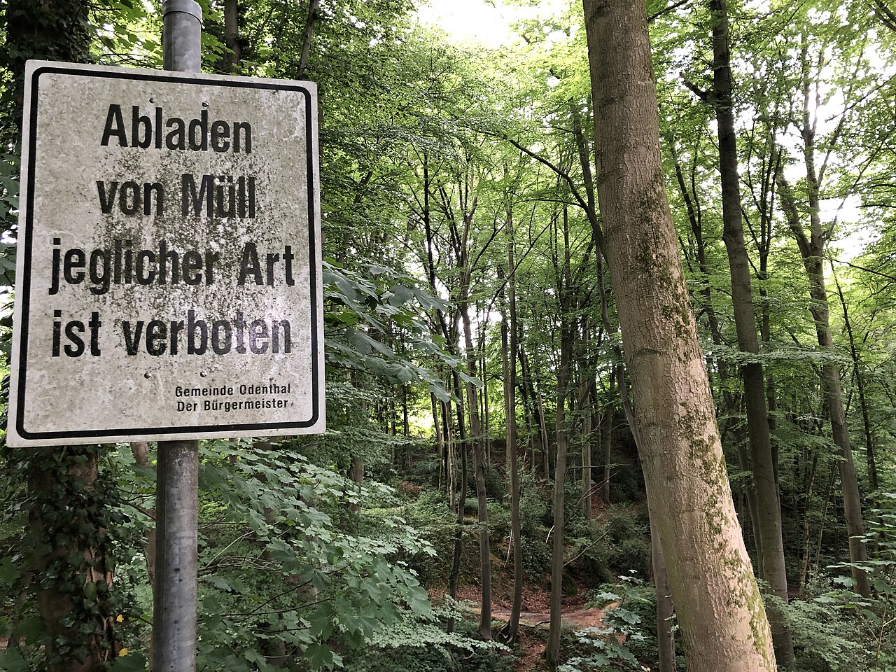 A 4908 fotoğrafı