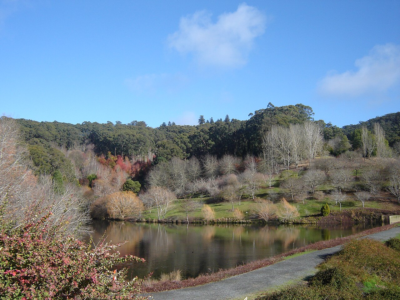 Mount Lofty Botanic Garden