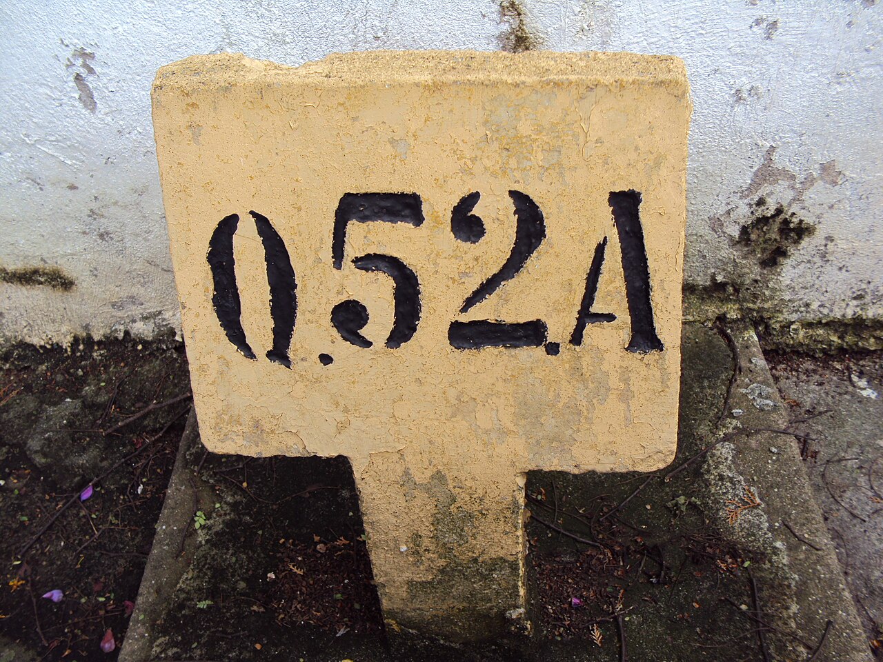 A photograph of Consolação Cemetery