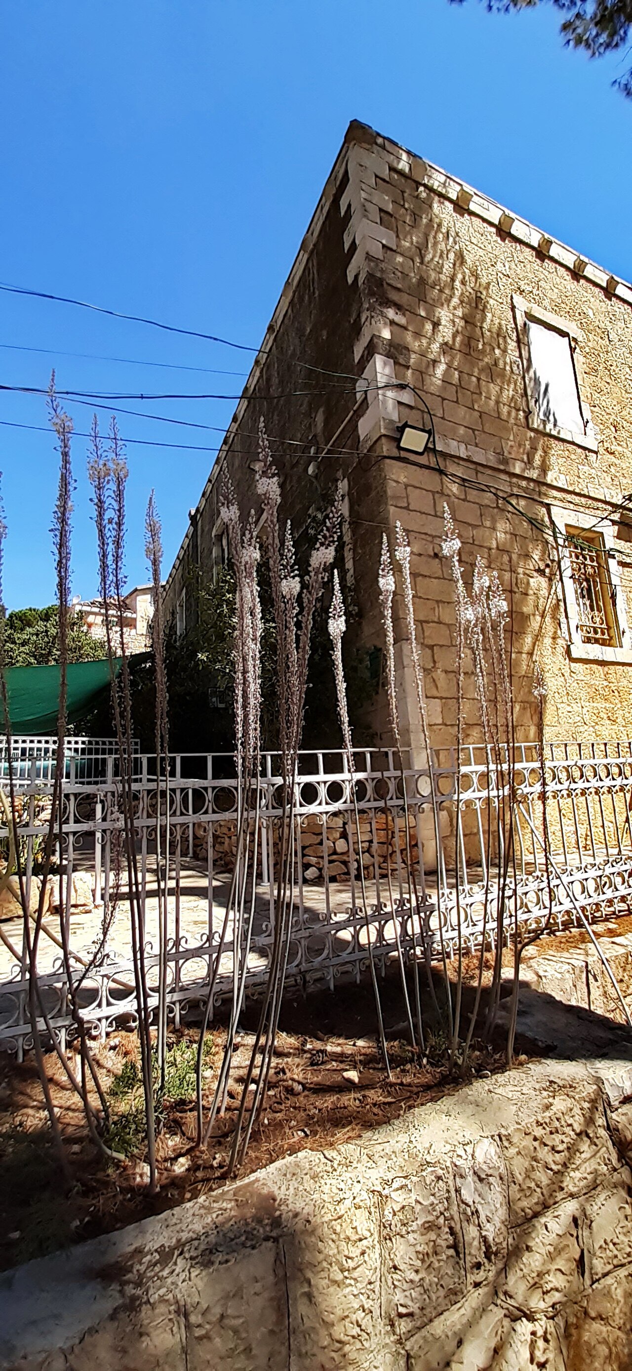 A photograph of Jerusalem Nature Museum