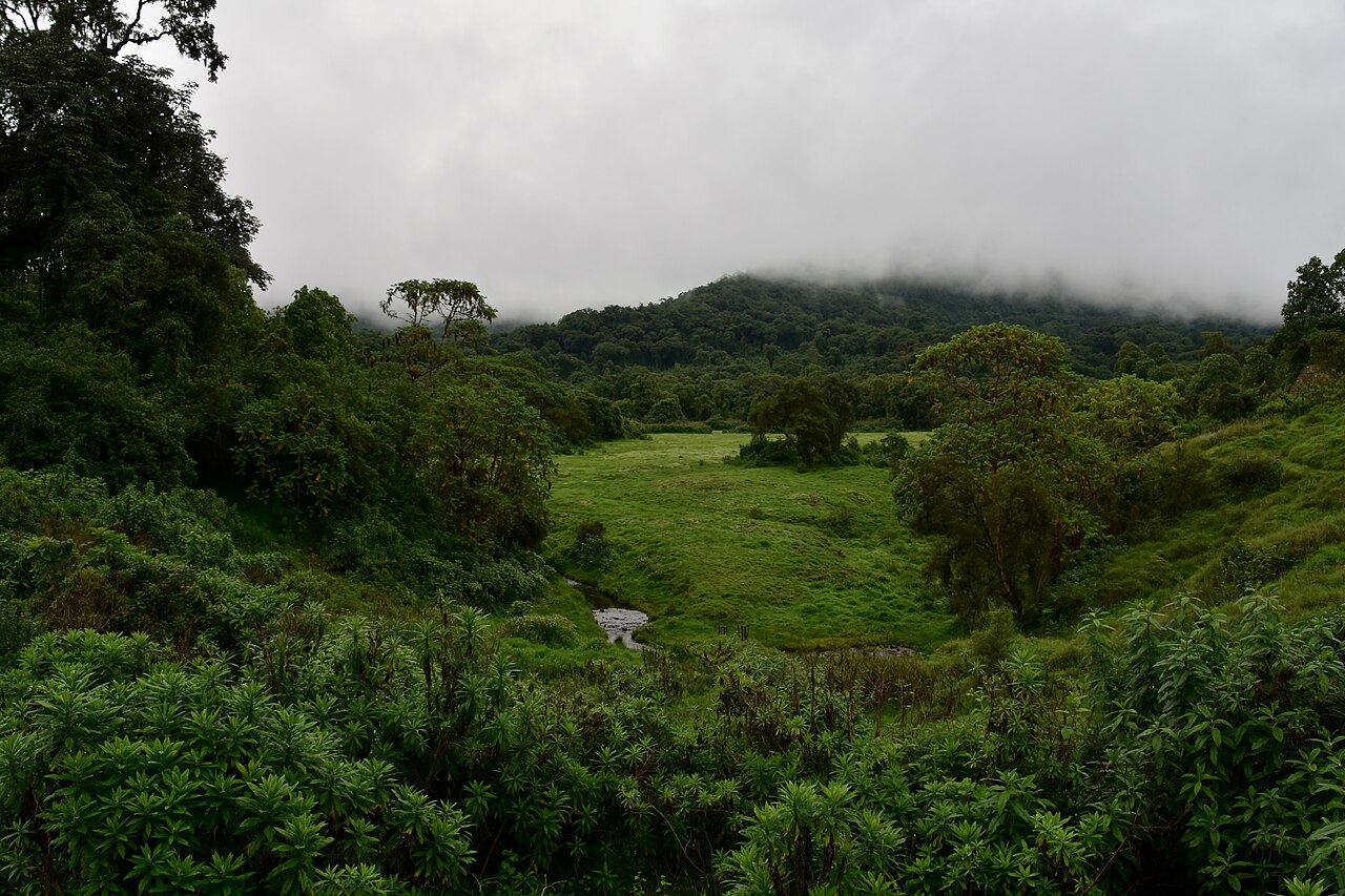 Bale Park fotoğrafı