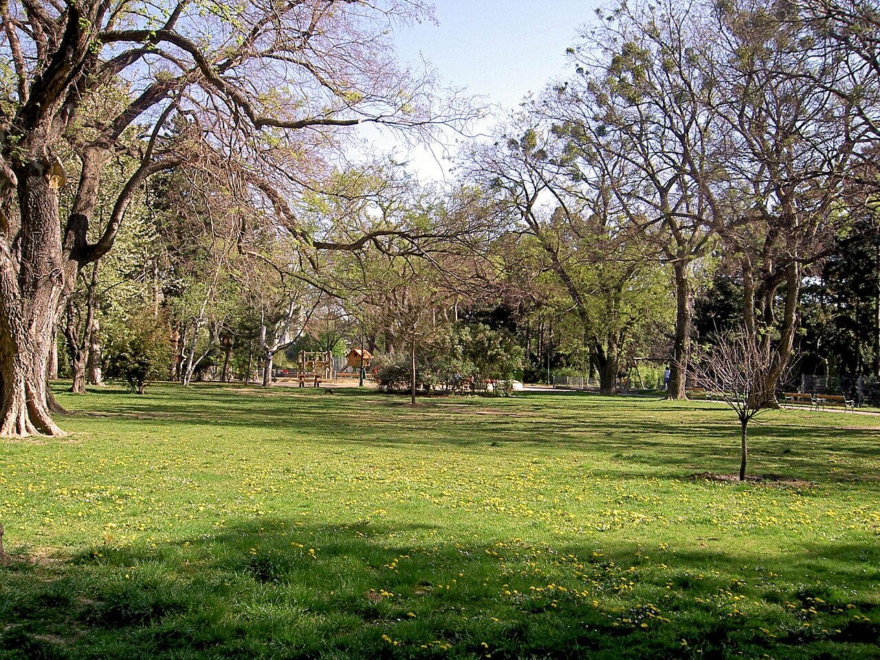 A photograph of Währinger Park