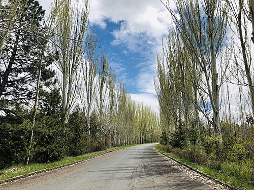 Parque forestal Jrvezh