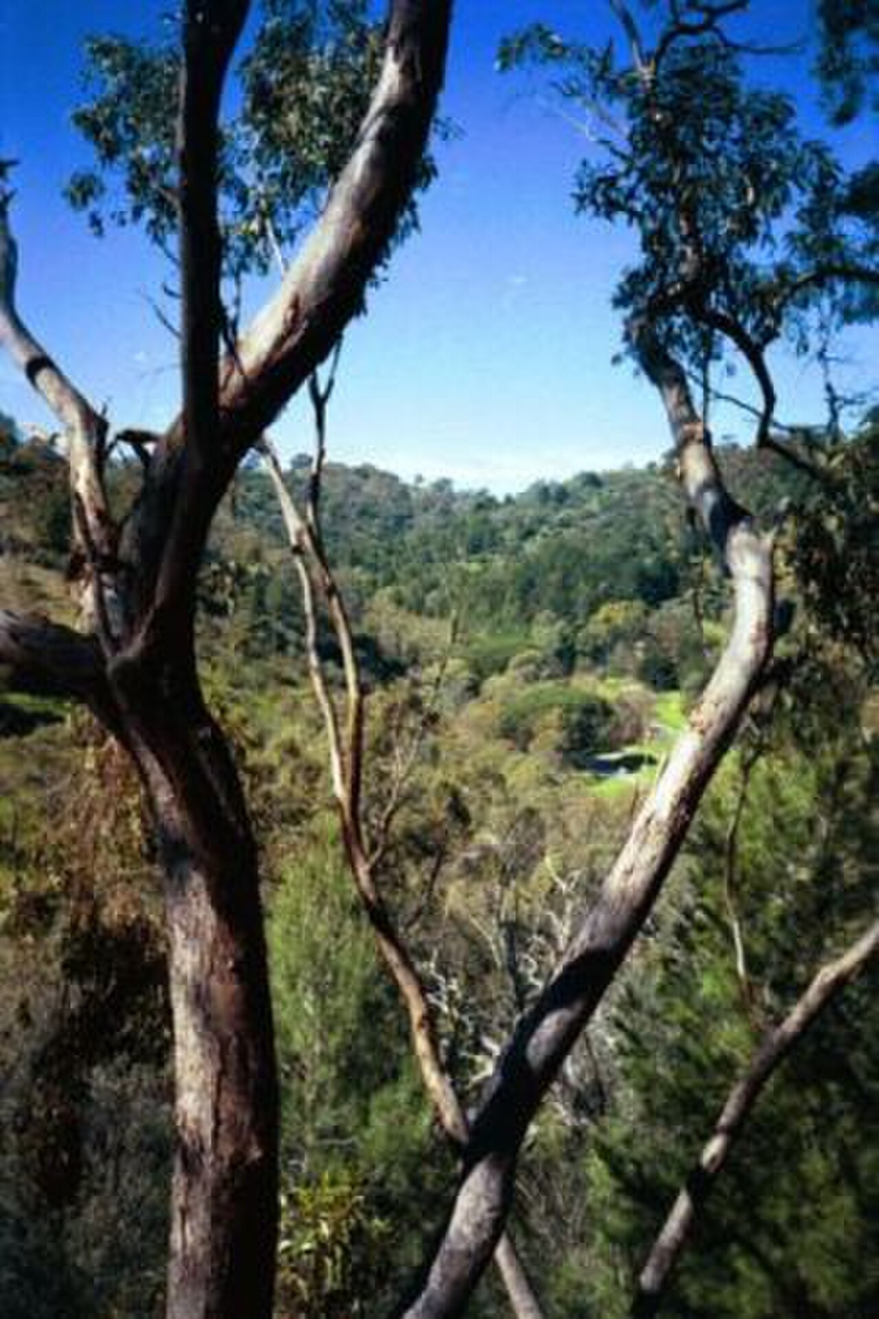 Brownhill Creek Rekreasyon Parkı