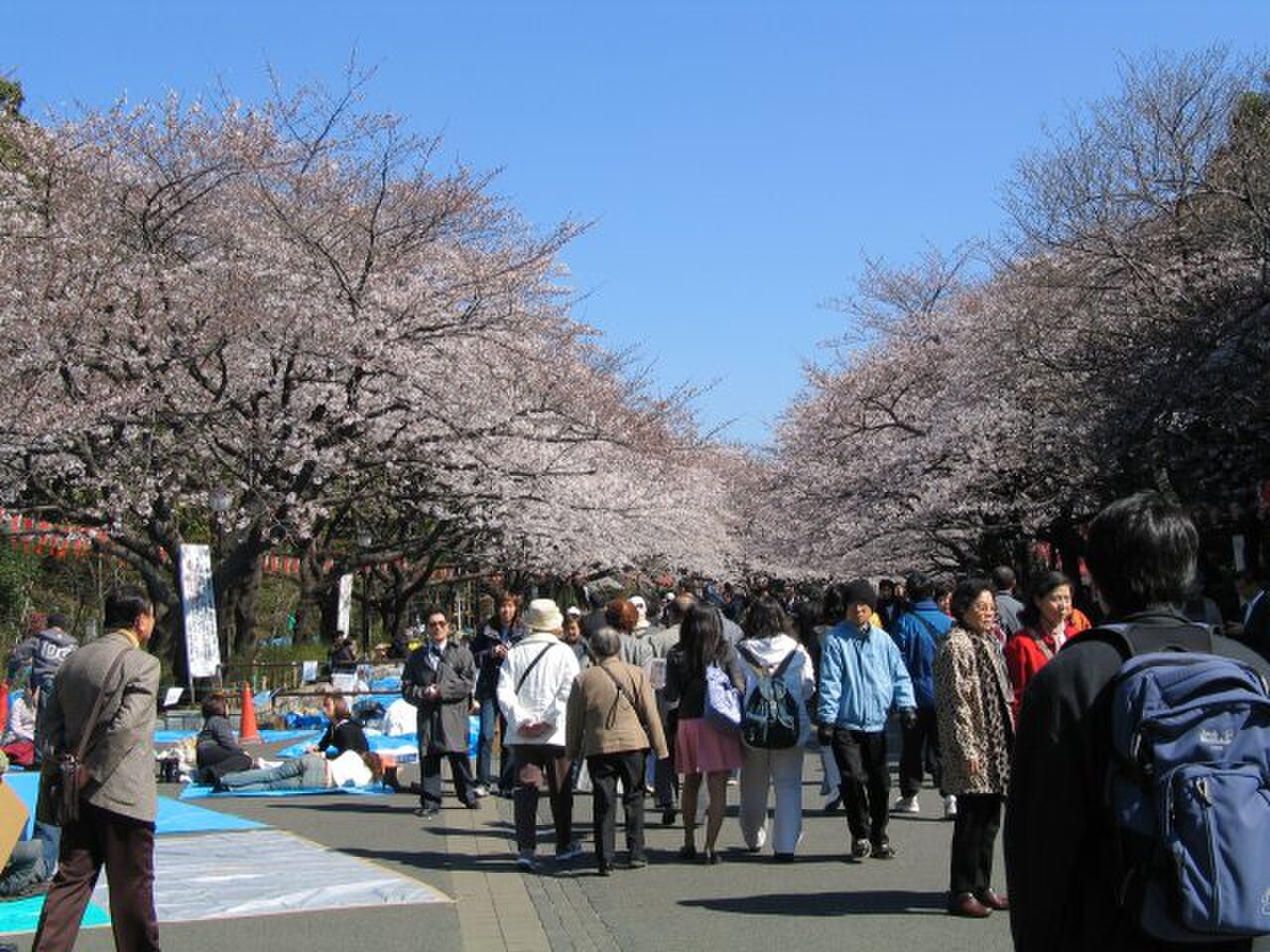 Ueno Parkı