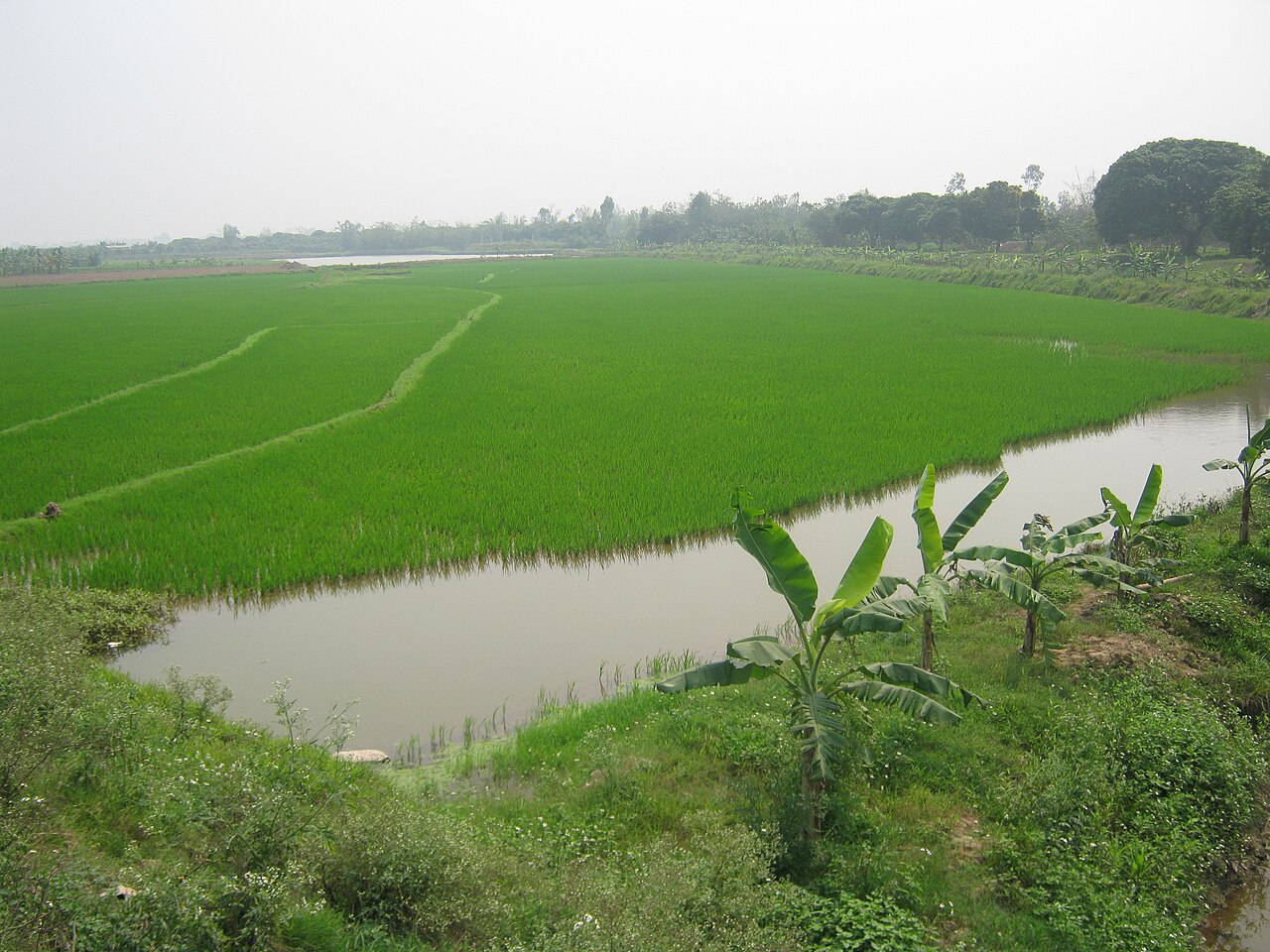 Delta Reserve fotoğrafı