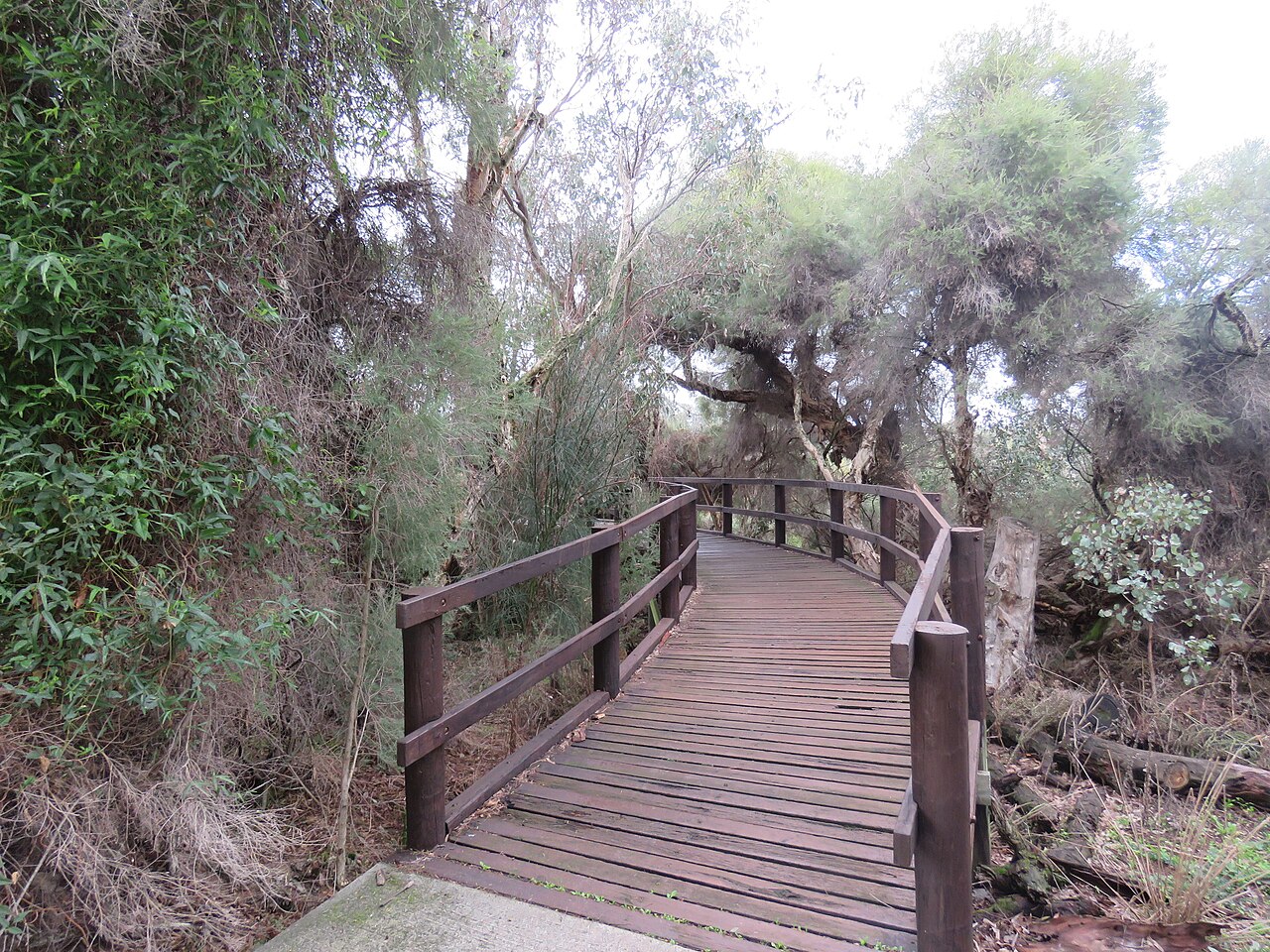 A photograph of Booragoon Lake