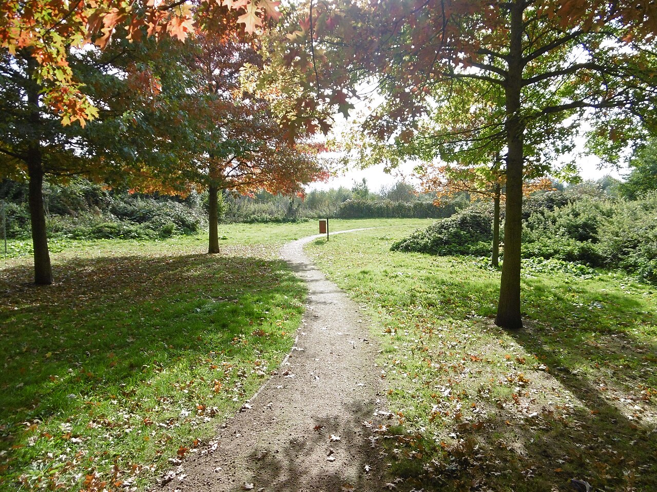 Heathrow Biodiversity Site - Peggy Bedford fotoğrafı