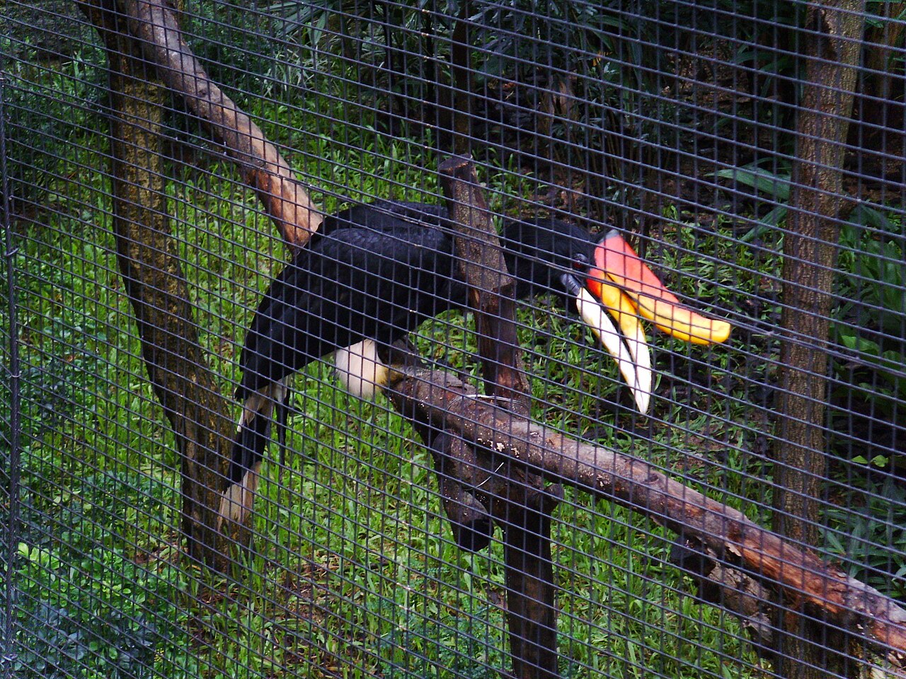 A photograph of Aviary Park