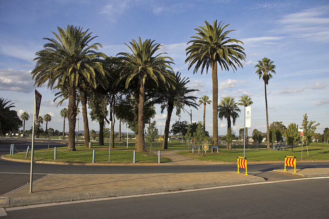 Leeton Street Park fotoğrafı