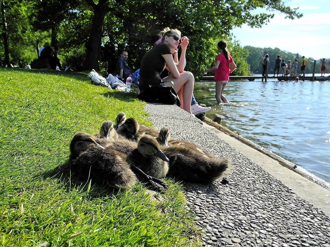 Una fotografia di Katzensee