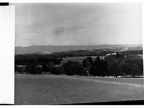 Montefiore Hill
