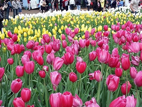 Araluen Botanic Park