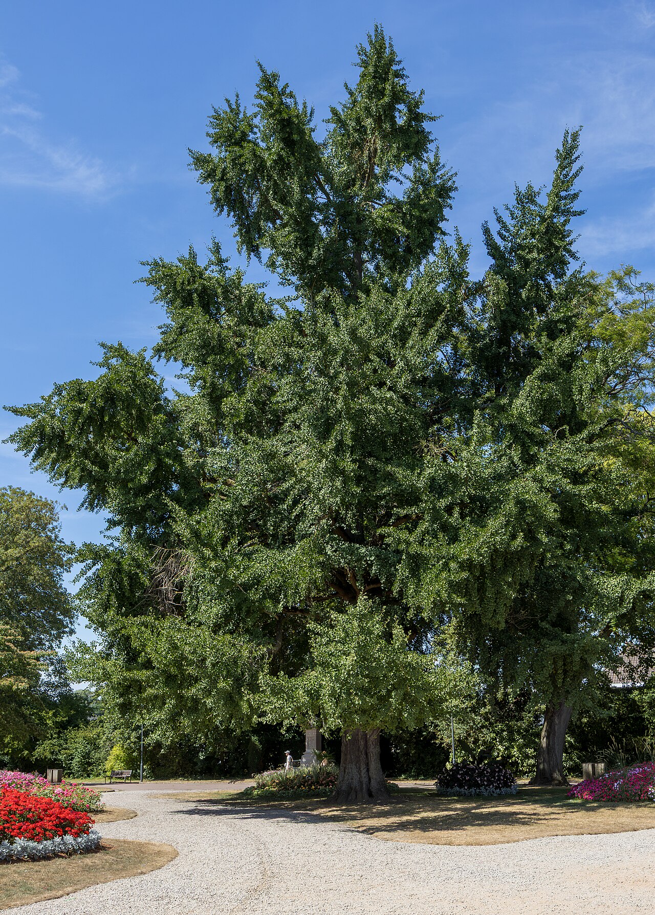 Saint Omer Park