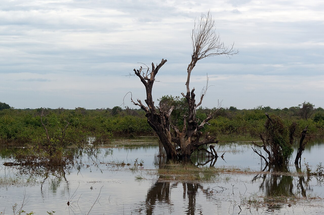 Una fotografía de Tonlé Sap