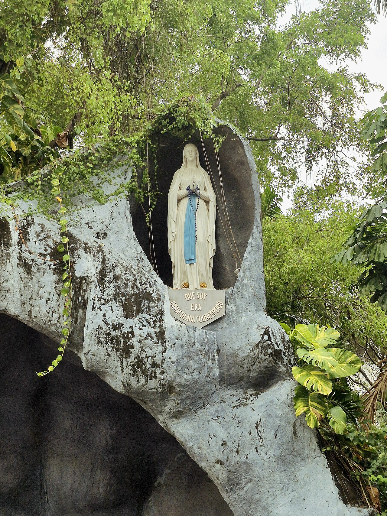 A photograph of Mother of Perpetual Help