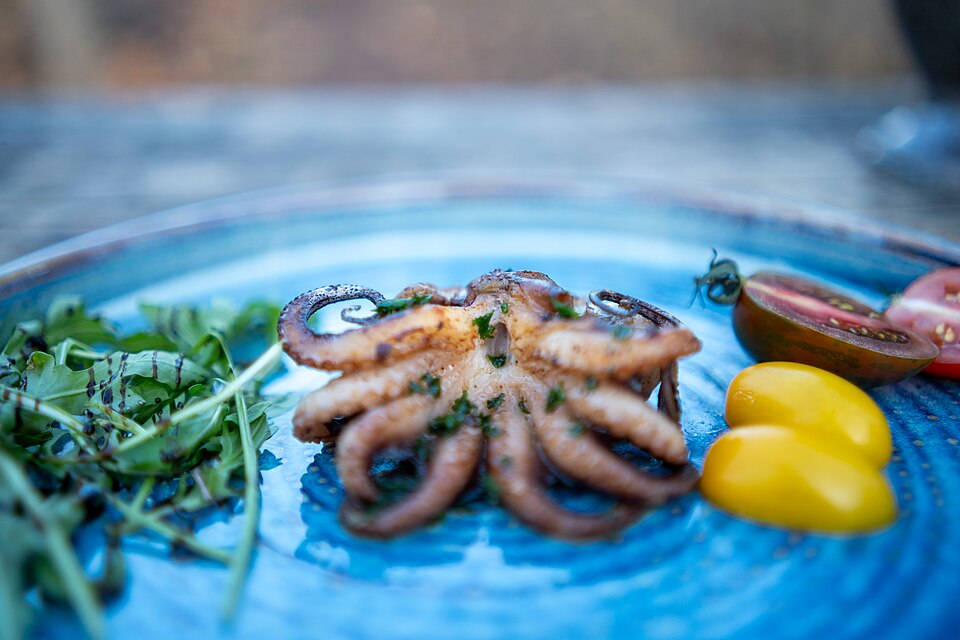 Fremantle-Oktopus — Symbolfoto