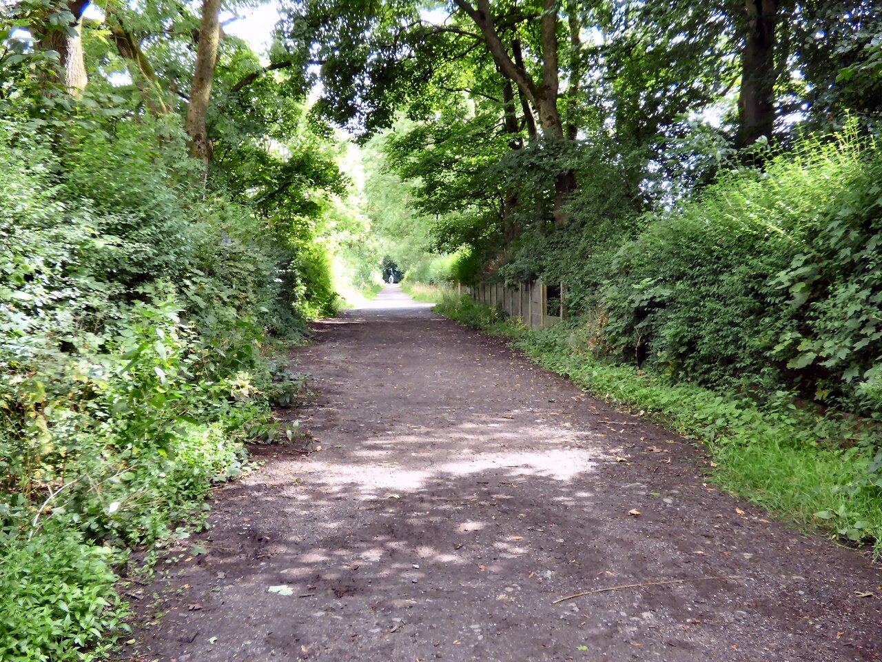 デブデール公園 の写真