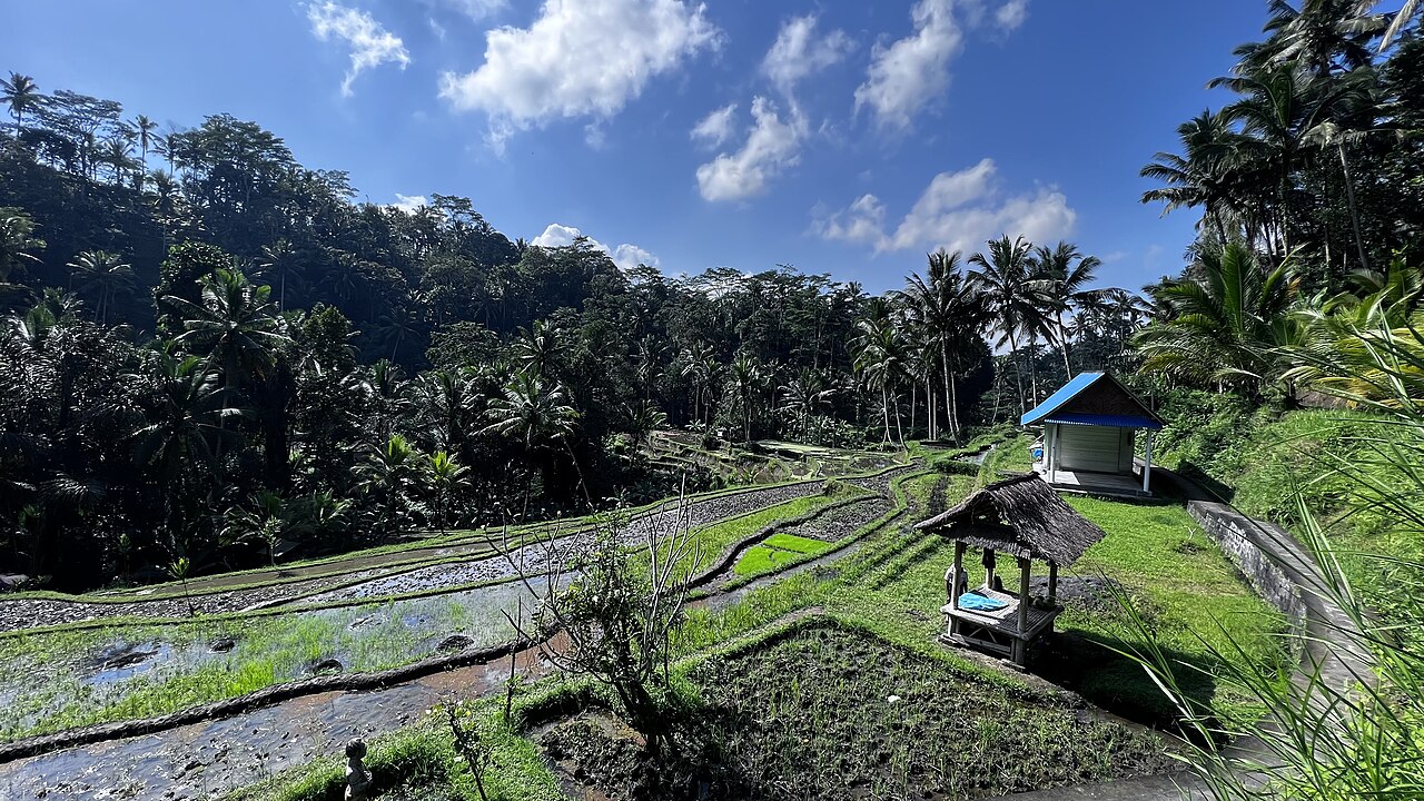 Ein Foto von Pura Gunung Kawi