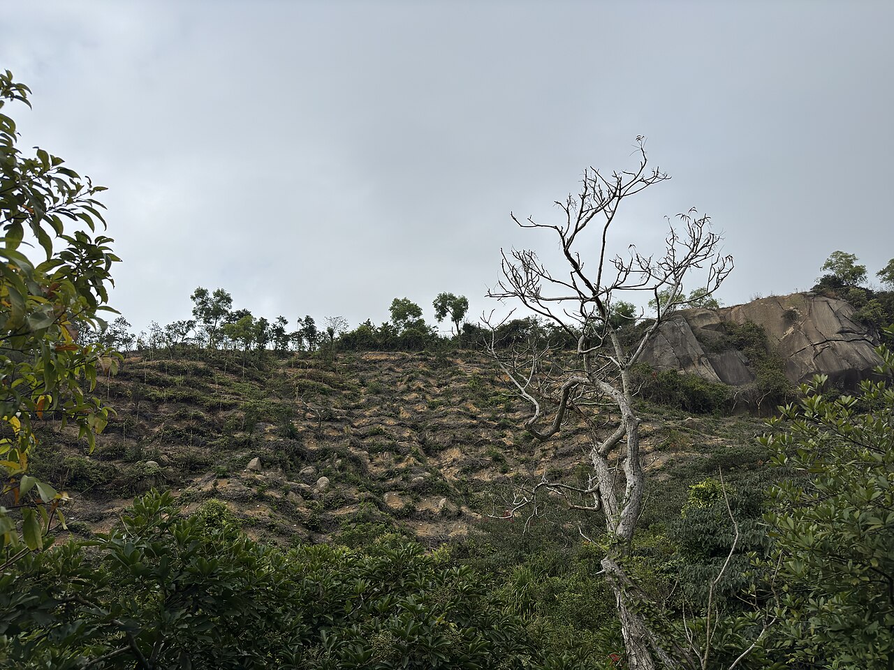 Wetland in Seac Pai Van