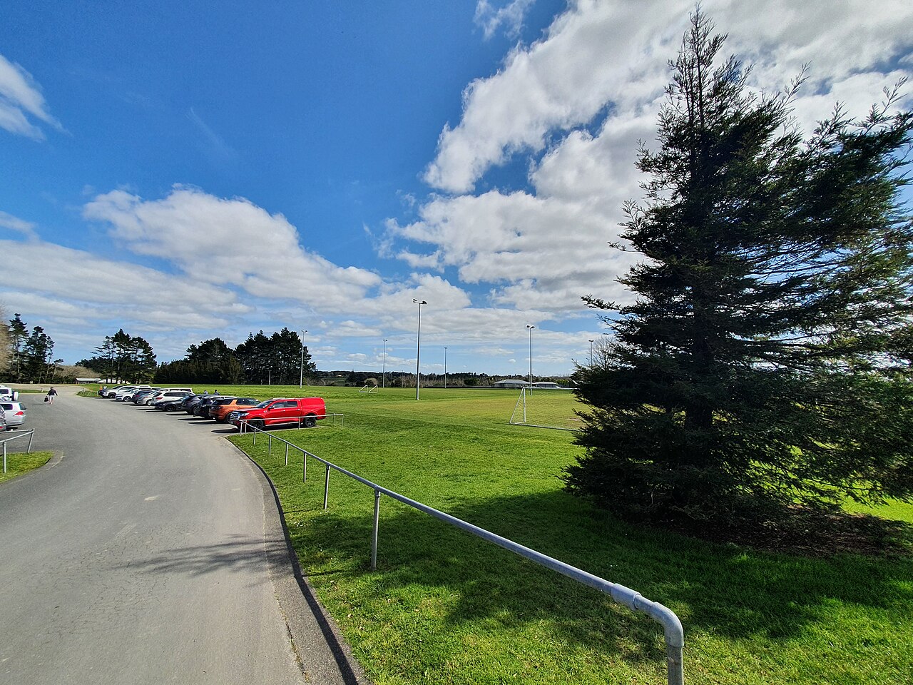 Taylor Parkı fotoğrafı