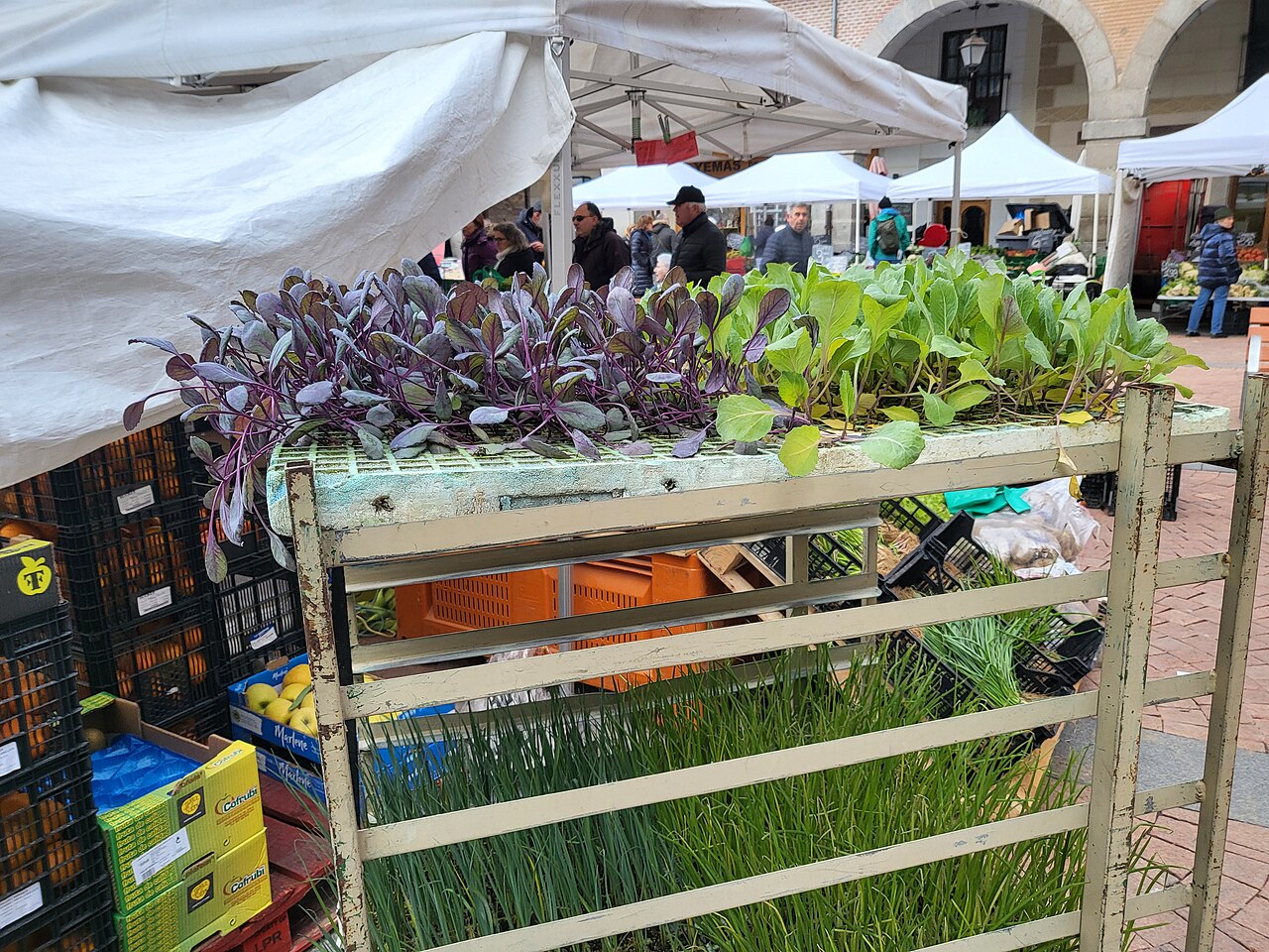 Ein Foto von Markt 23