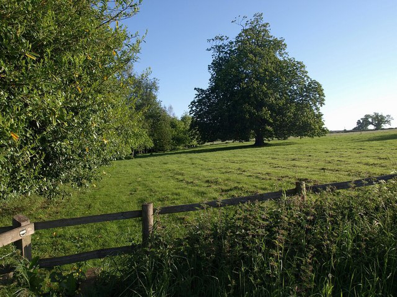 Bowden Street Park