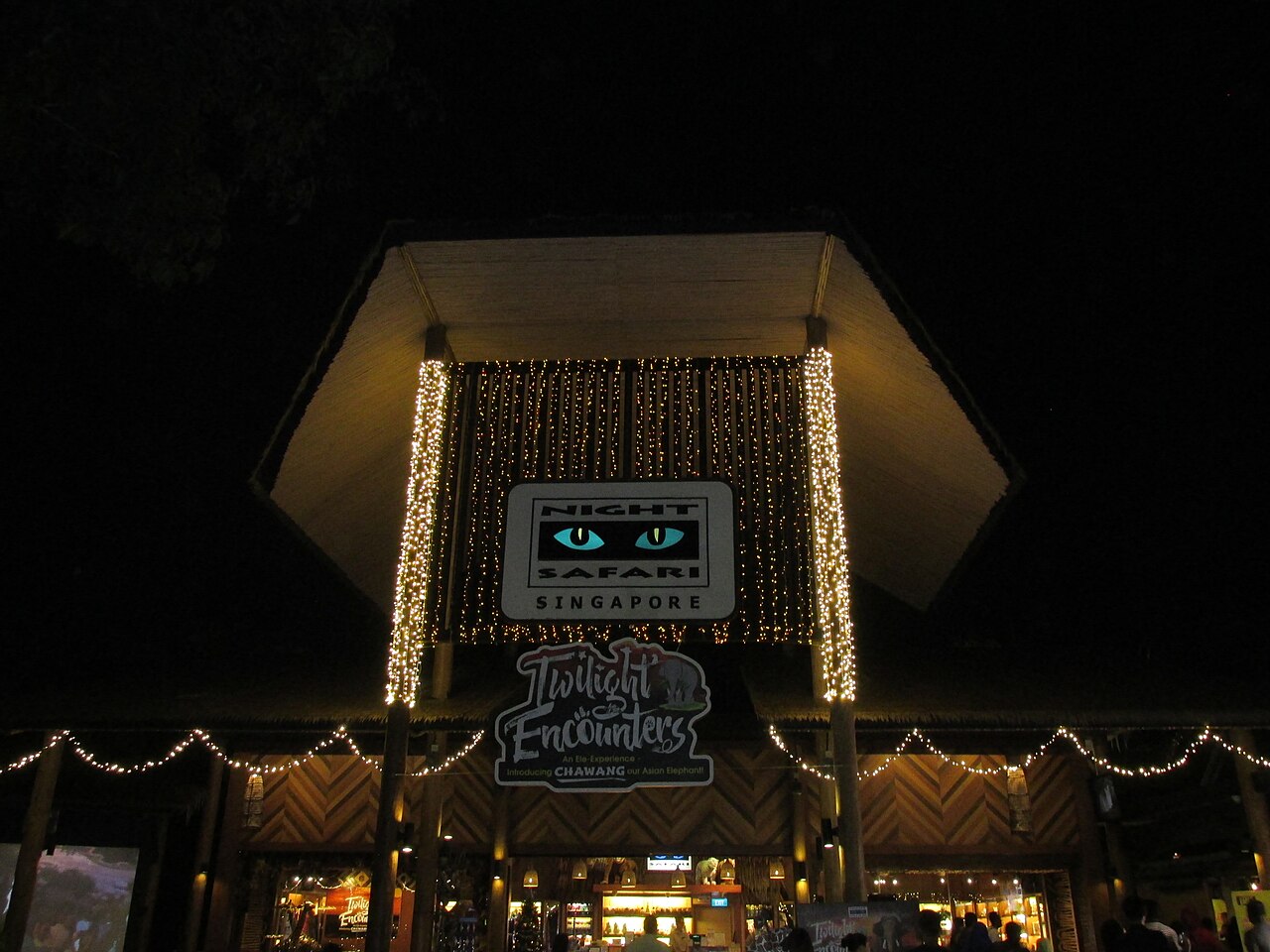 Gece Safarisi
