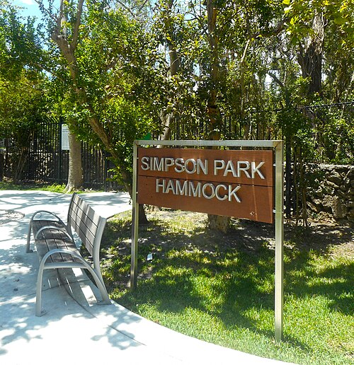 Parco Simpson Hammock