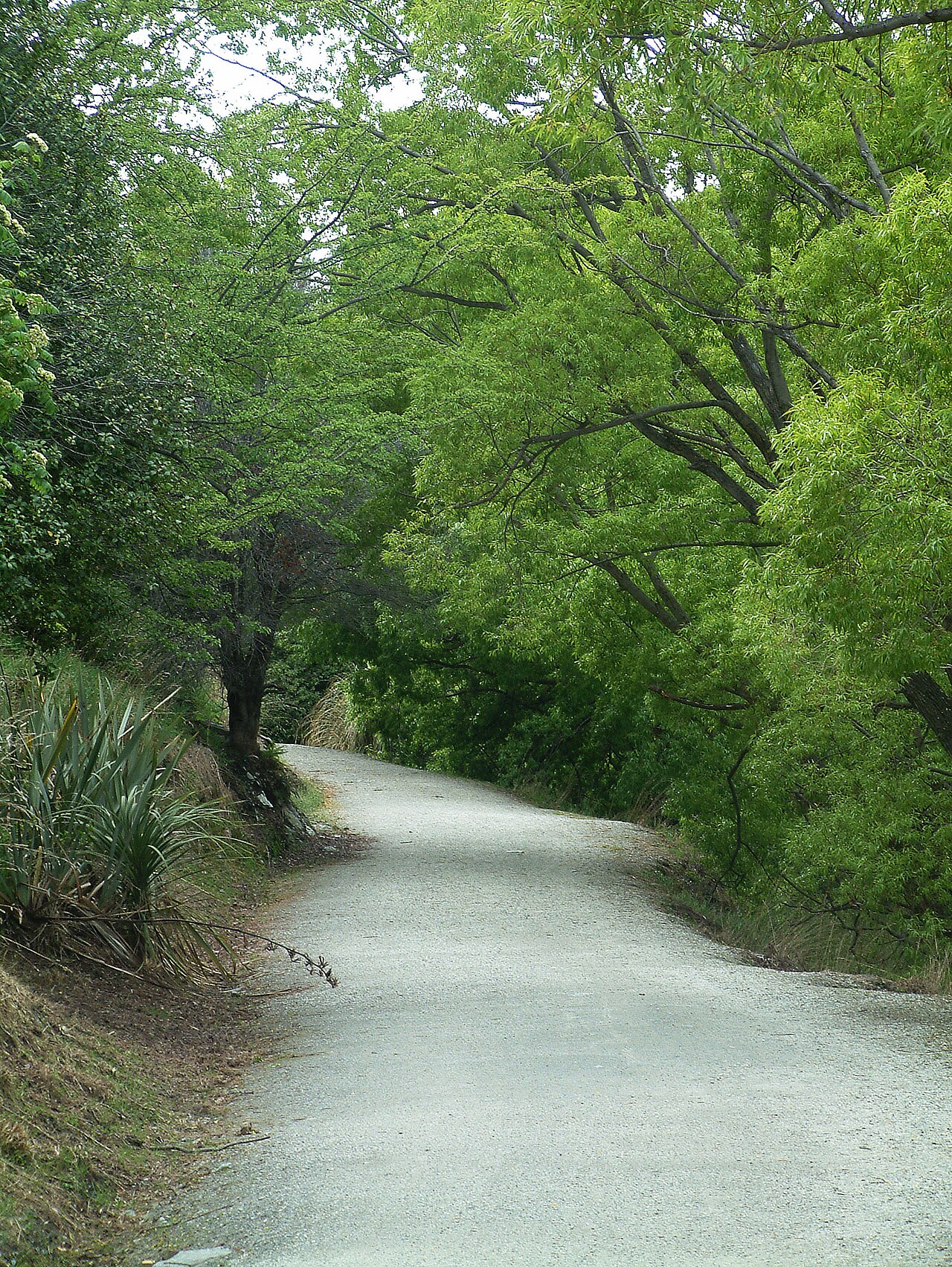 Ein Foto von Frankton-Wanderweg