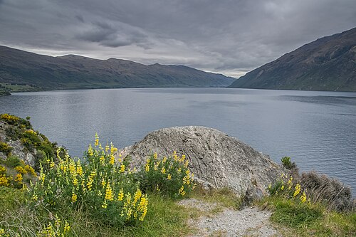 Lake Wakatipu