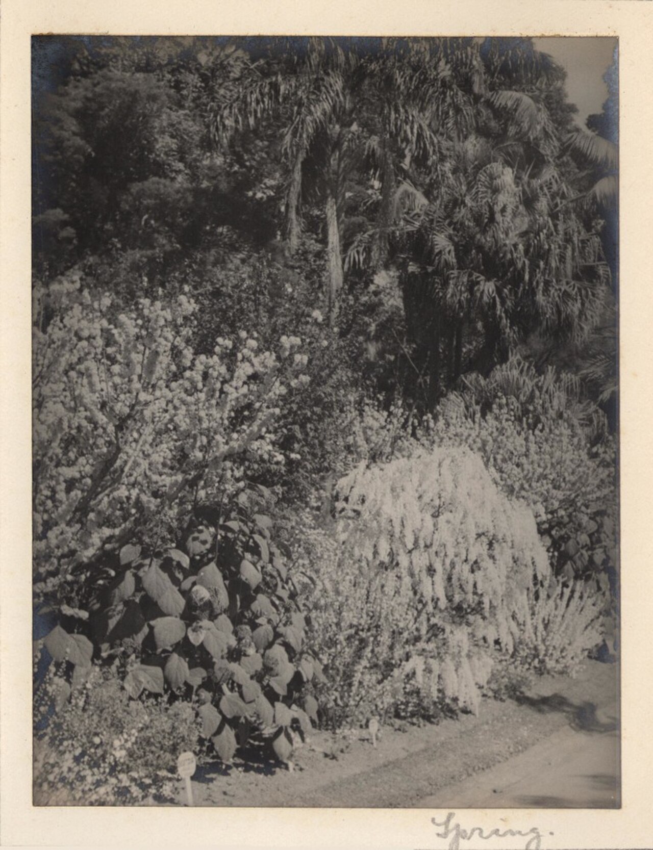 A photograph of Spring