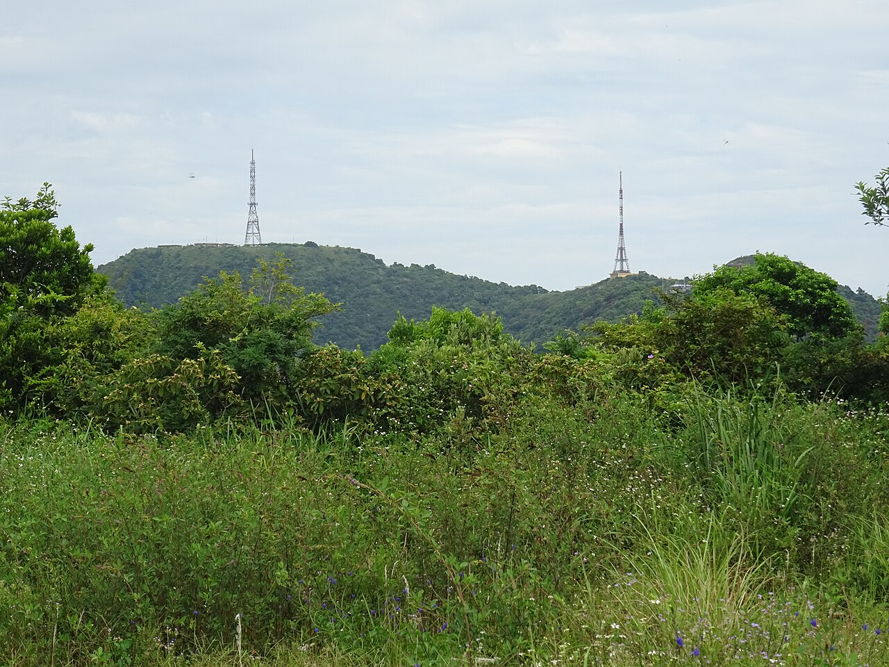 Ein Foto von Sơn-Trà-Berg