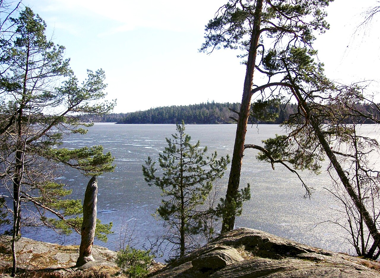 Una fotografia di Lago Drevviken