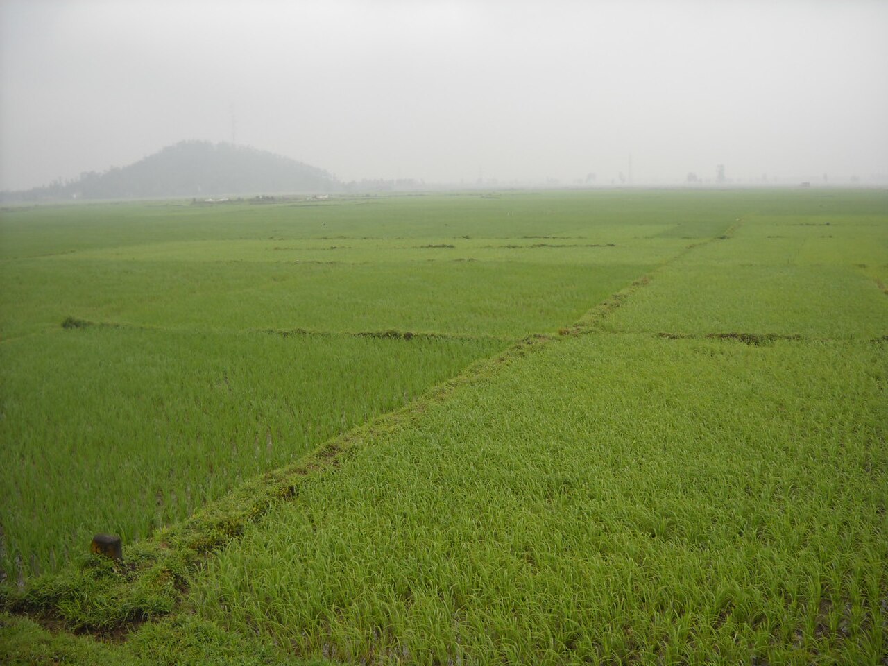 hà linh fotoğrafı