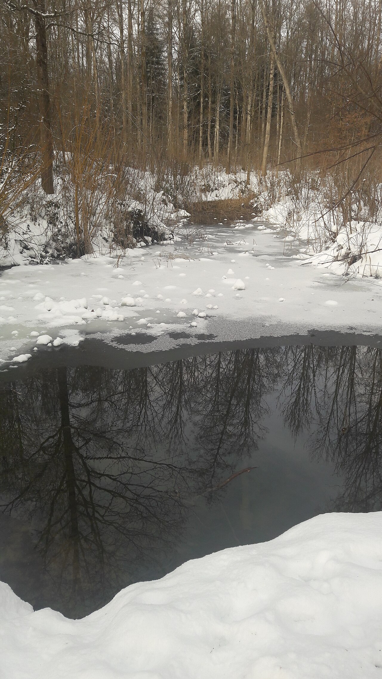 Una fotografia di Hönggerberg