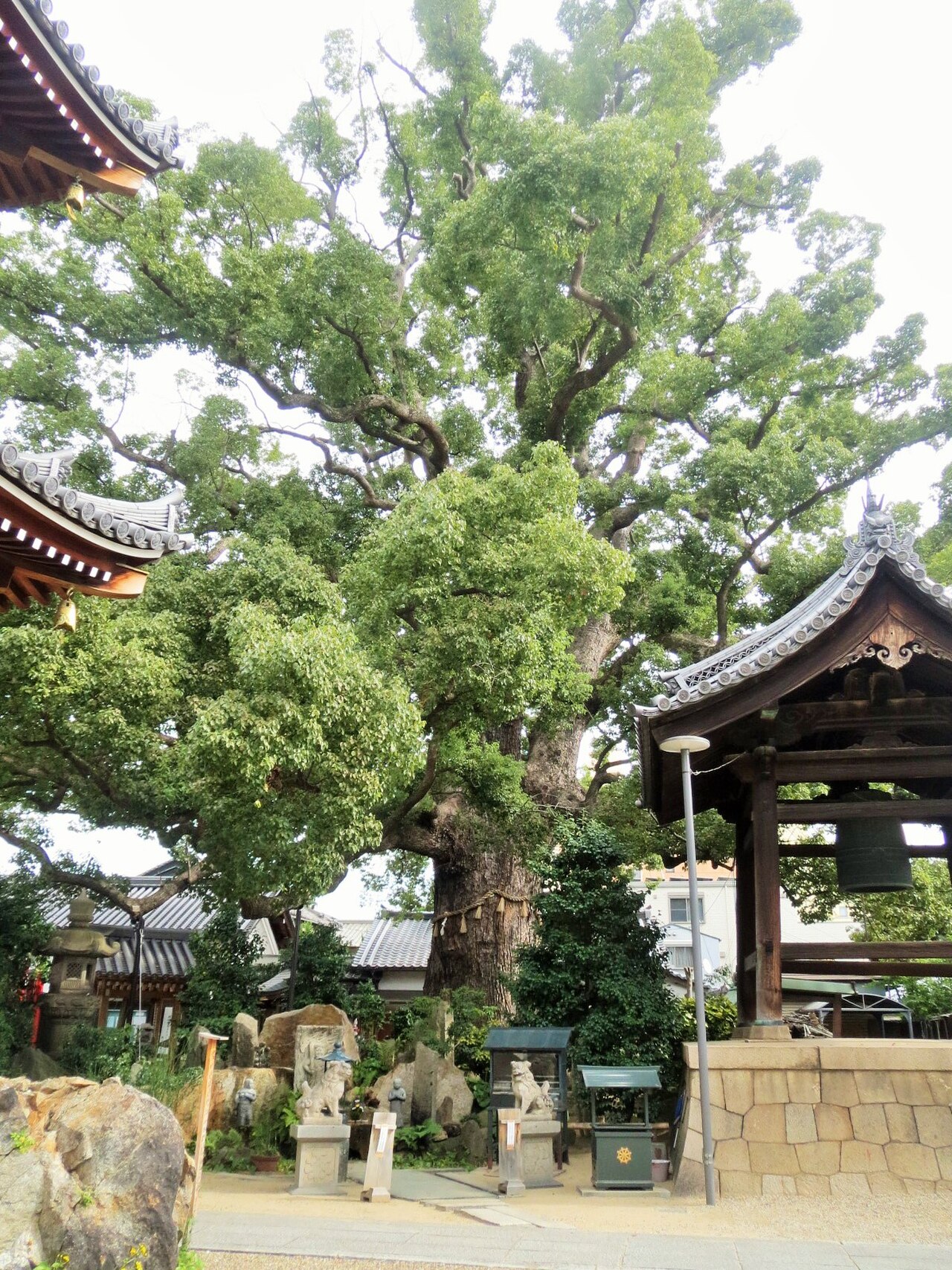 Hōraku-ji Tapınağı fotoğrafı